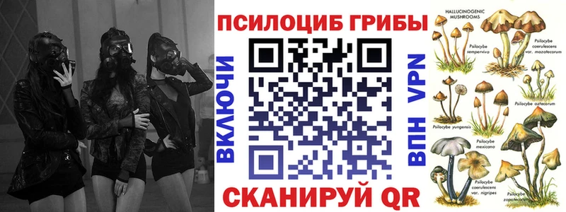 где продают наркотики  mega вход  Псилоцибиновые грибы Psilocybine cubensis  Шимановск 